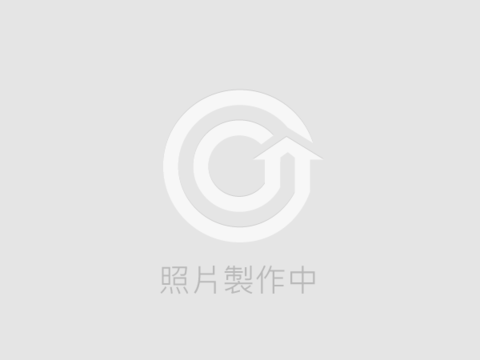 CX.超A！三井Outlet大坪數高級電梯別墅B 台中市龍井區中央路三段