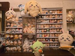 夢想清單通通帶回家 永慶房屋同仁：收藏終於不用再猶豫！
